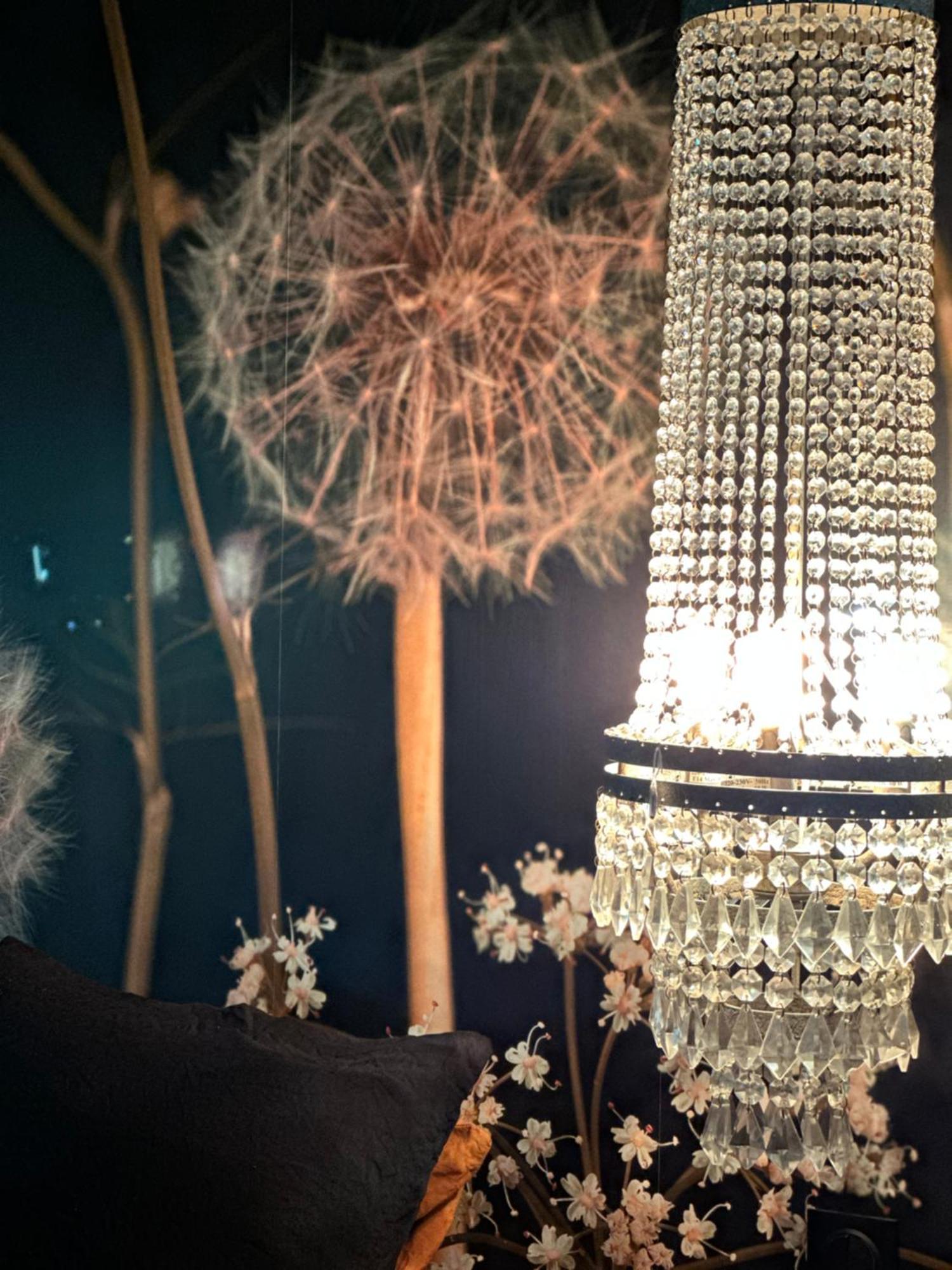 نانسي La Villa 1901 المظهر الخارجي الصورة